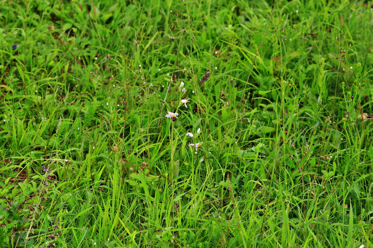 2013_06_15_00021963p_Bildgr��e �ndern