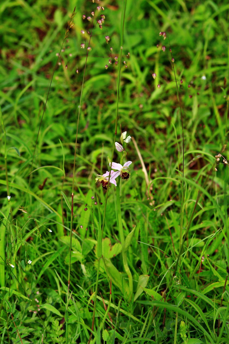 2013_06_15_00021969p_Bildgr��e �ndern