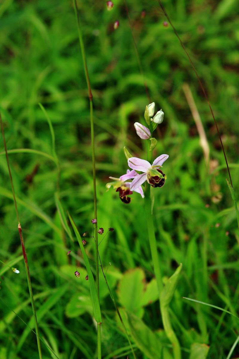 2013_06_15_00021976p_Bildgr��e �ndern