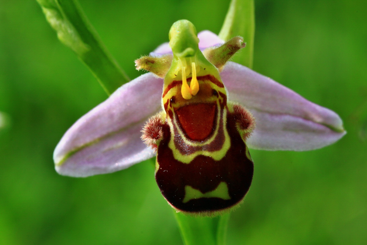 2013_06_15_00022014p_Bildgr��e �ndern