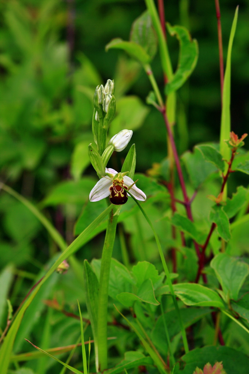 2013_06_16_00022090p_Bildgr��e �ndern