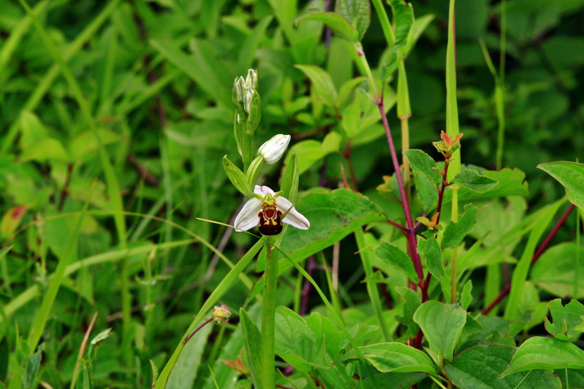 2013_06_16_00022098p_Bildgr��e �ndern