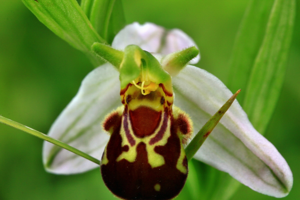 2013_06_16_00022105p_Bildgr��e �ndern