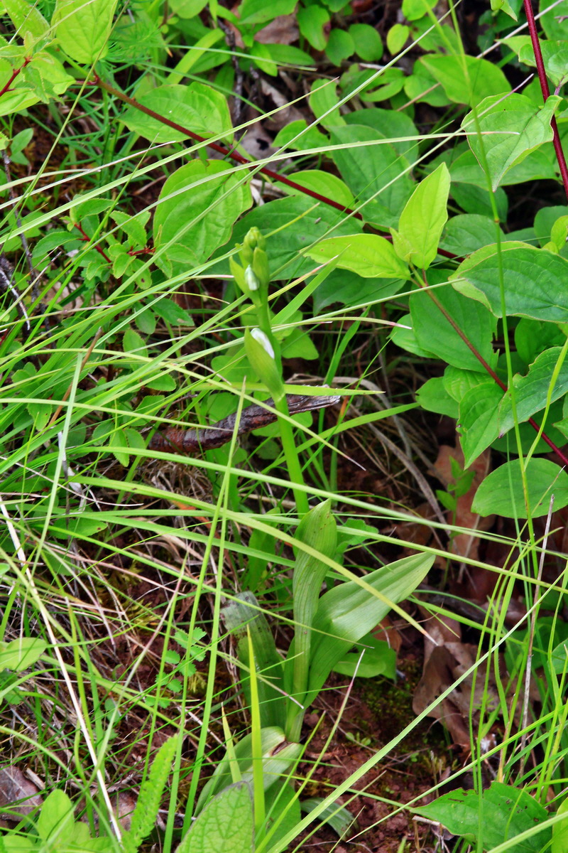 2013_06_16_00022113p_Bildgr��e �ndern