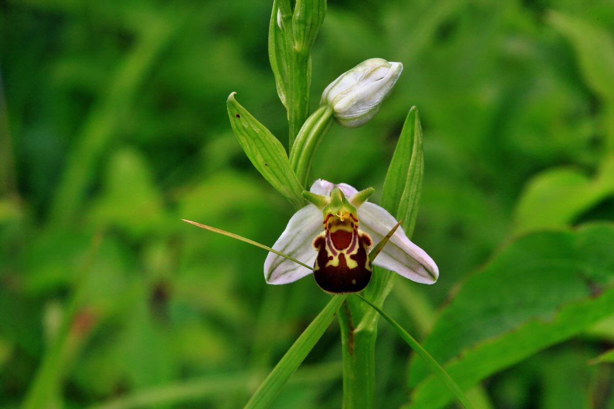 2013_06_16_00022122p_Bildgr��e �ndern