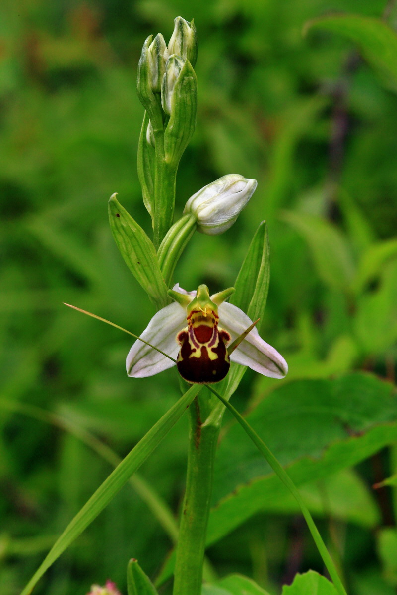 2013_06_16_00022123p_Bildgr��e �ndern