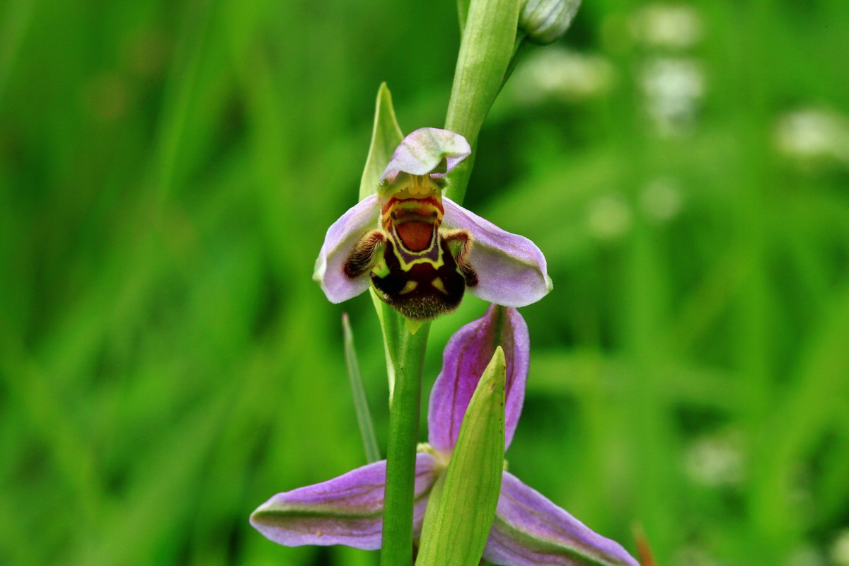 2013_06_16_00022133p_Bildgr��e �ndern