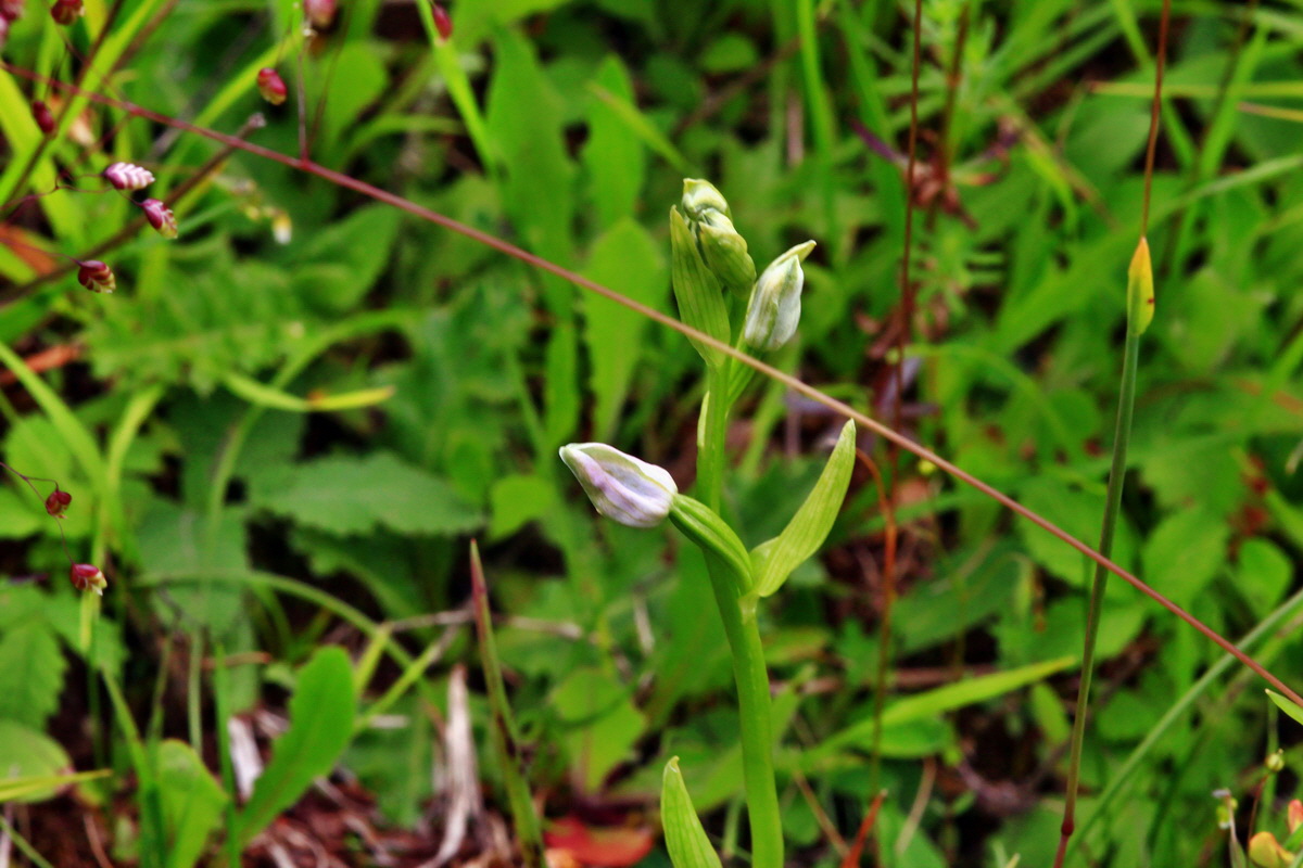 2013_06_16_00022170p_Bildgr��e �ndern