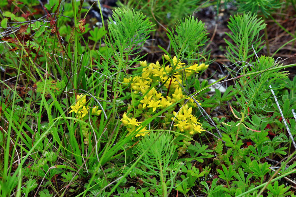 2013_06_16_00022217p_Bildgr��e �ndern