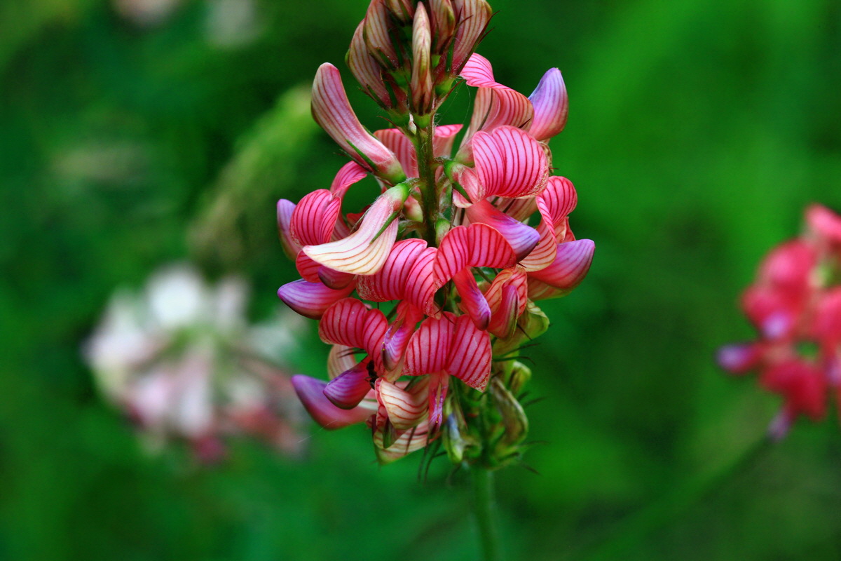 2013_06_16_00022221p_Bildgr��e �ndern