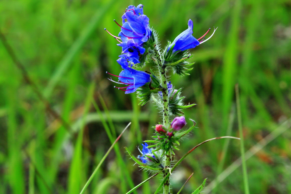 2013_06_16_00022234p_Bildgr��e �ndern