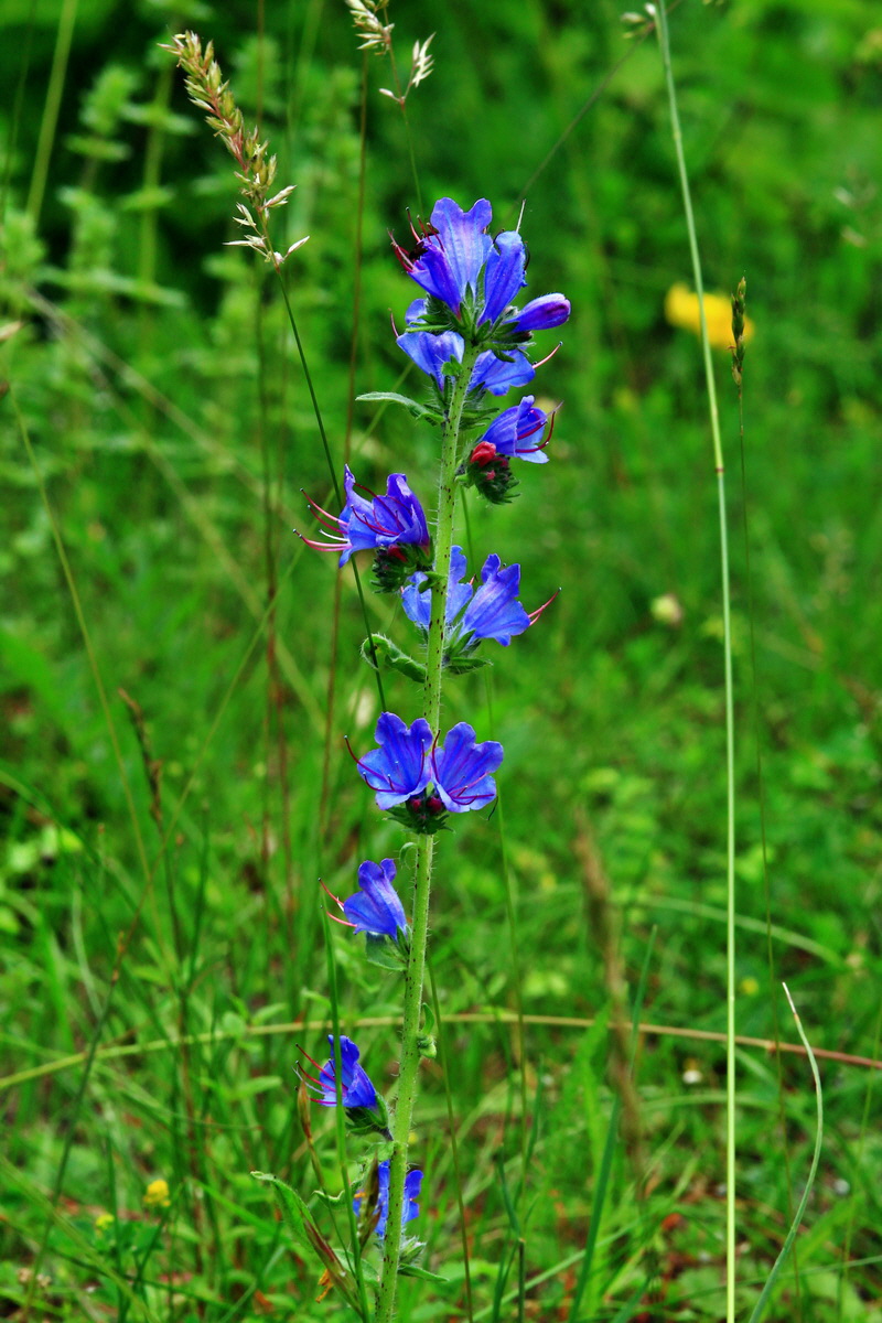 2013_06_16_00022238p_Bildgr��e �ndern