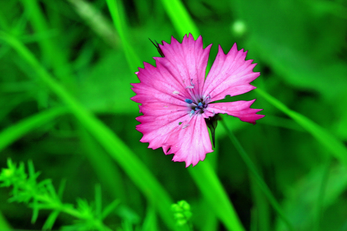 2013_06_16_00022264p_Bildgr��e �ndern