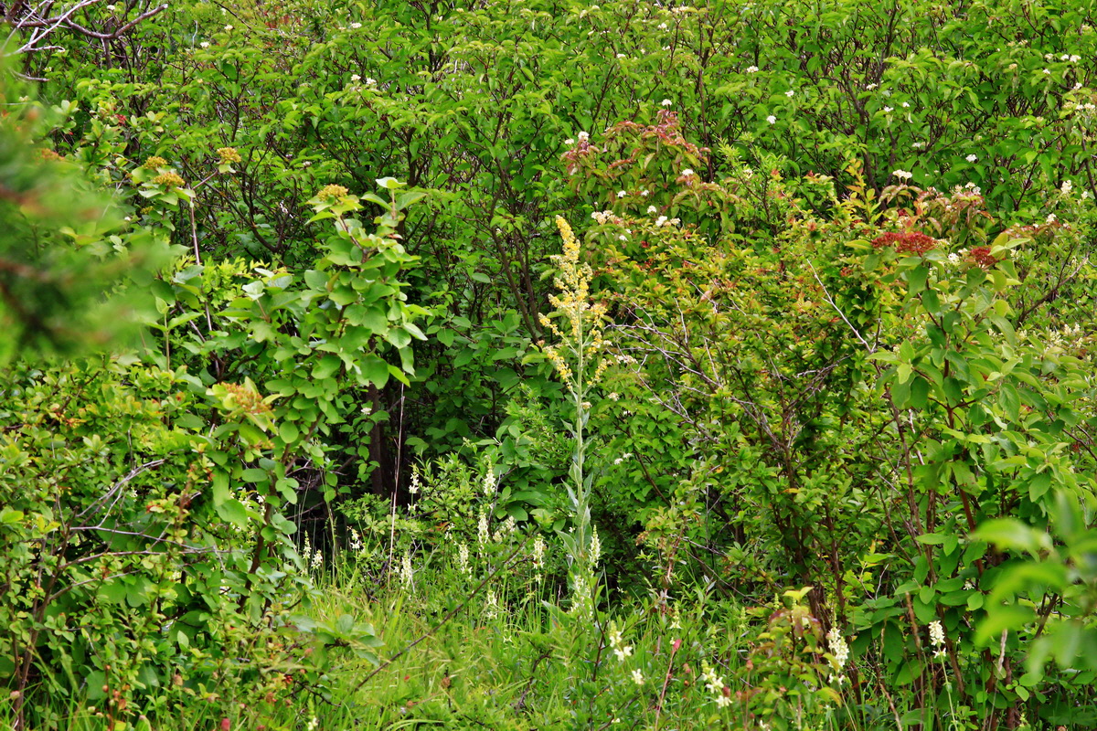 2013_06_16_00022287p_Bildgr��e �ndern