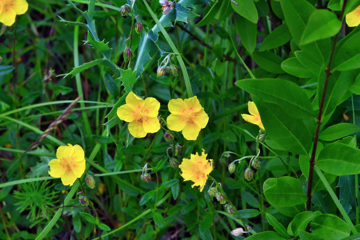 2013_06_16_00022373p_Bildgr��e �ndern