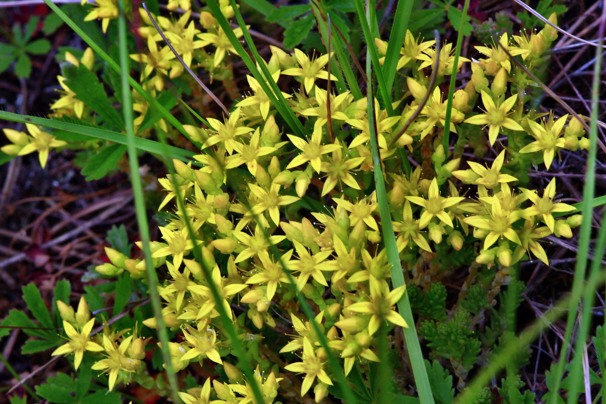 2013_06_16_00022380p_Bildgr��e �ndern