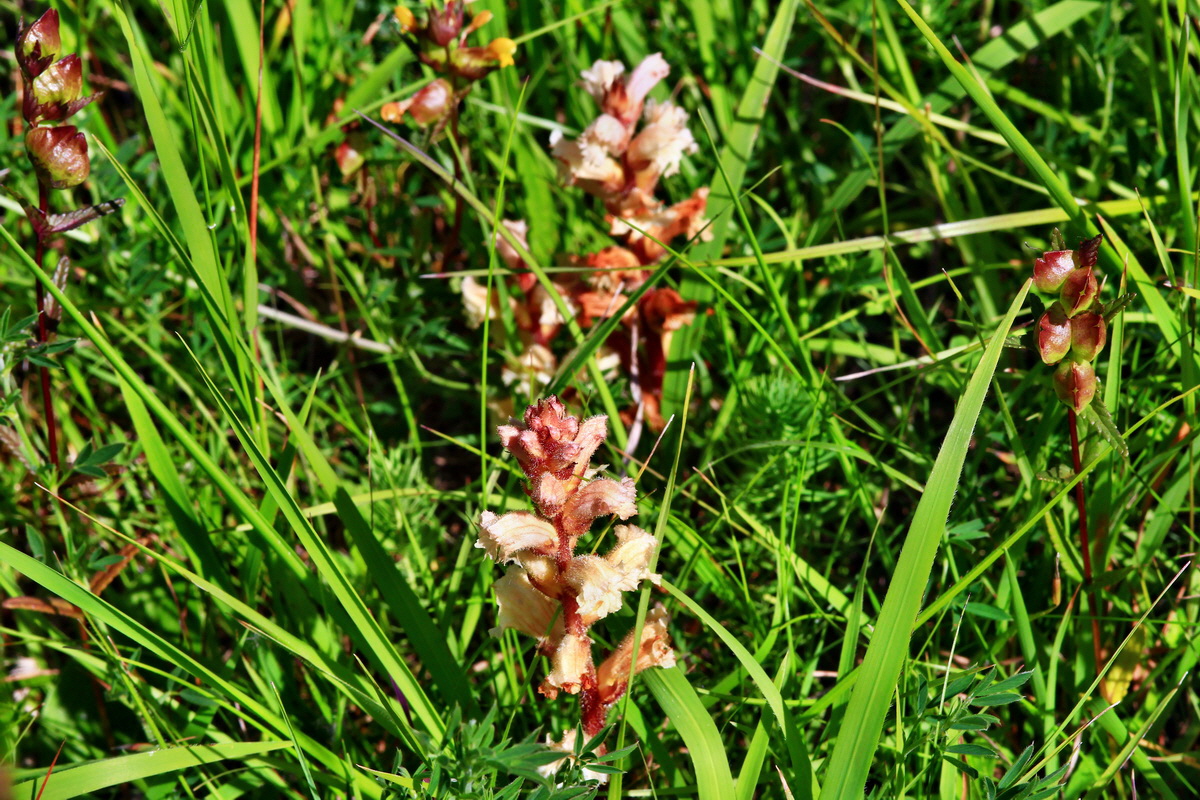 2013_06_17_00022406p_Bildgr��e �ndern