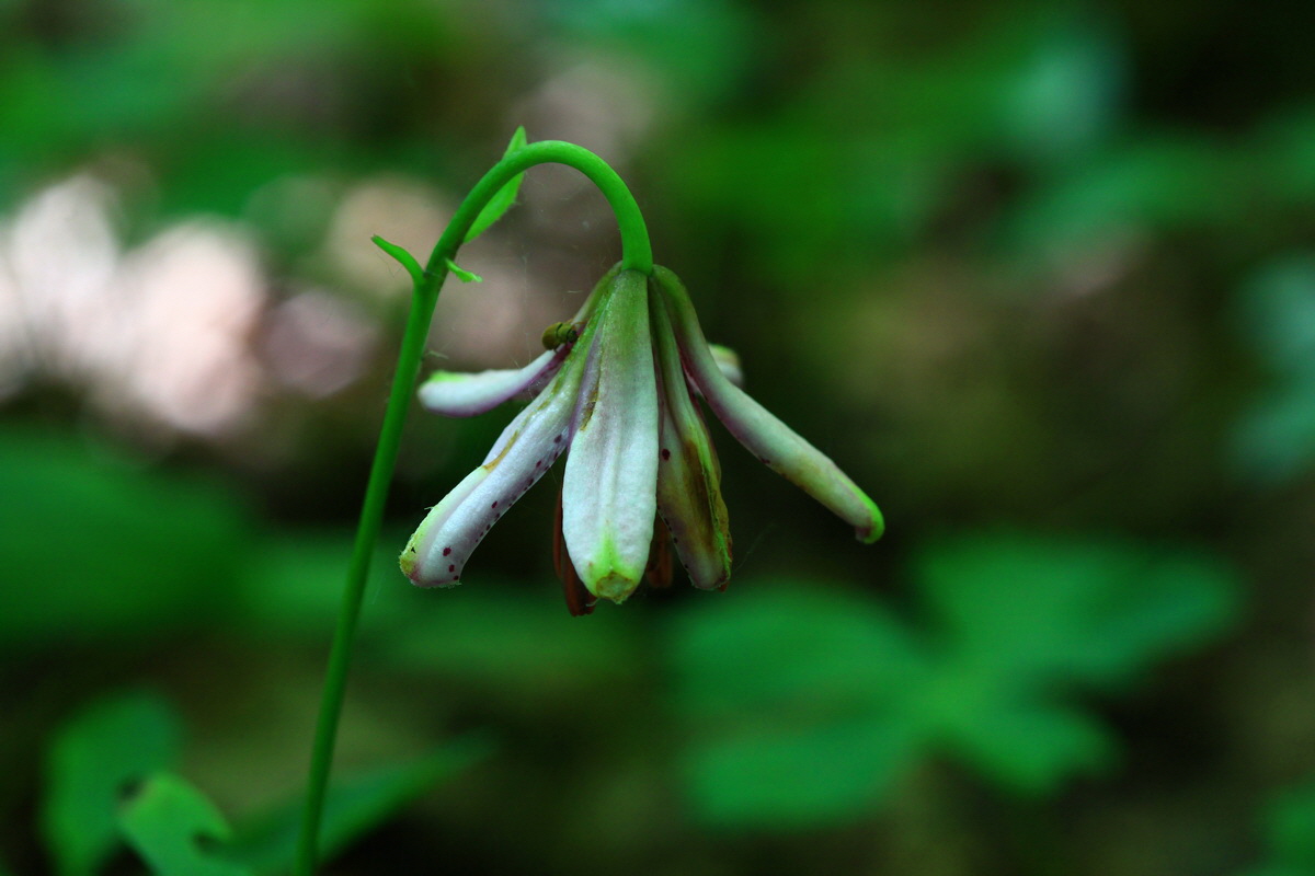 2013_06_17_00022426p_Bildgr��e �ndern