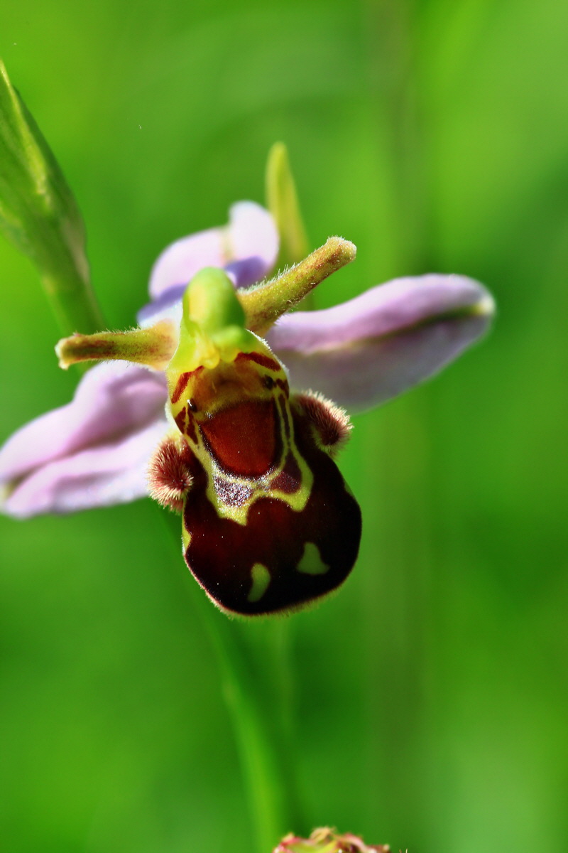 2013_06_17_00022468p_Bildgr��e �ndern