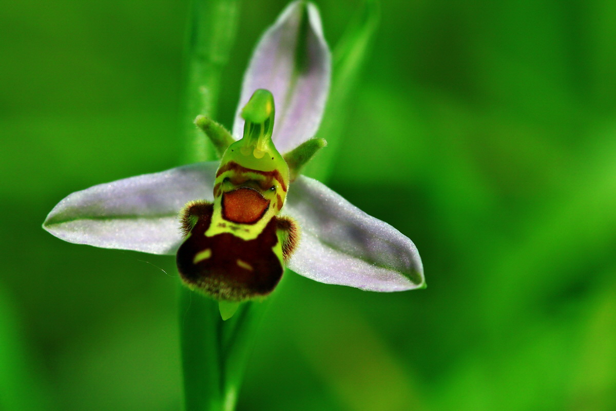 2013_06_17_00022514p_Bildgr��e �ndern