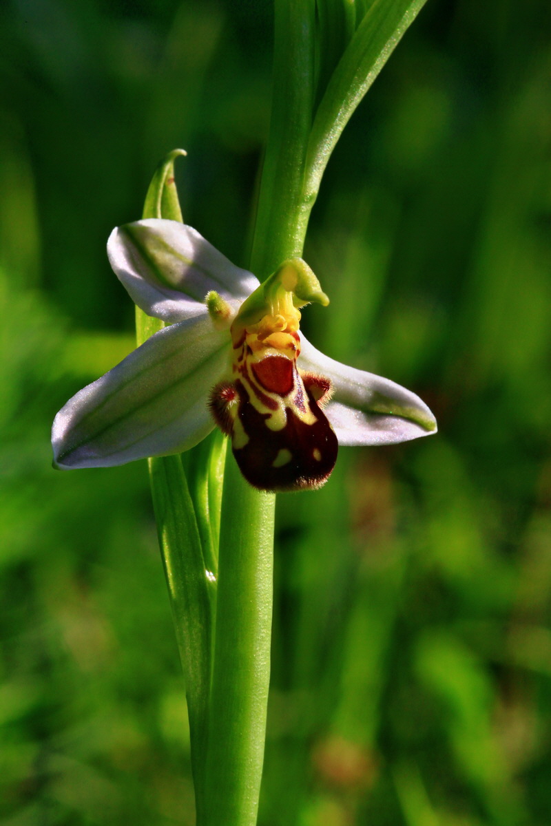 2013_06_18_00022626p_Bildgr��e �ndern