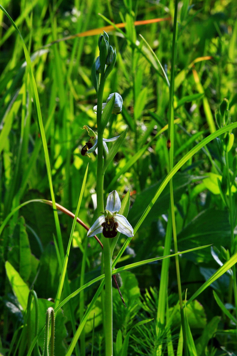 2013_06_18_00022640p_Bildgr��e �ndern