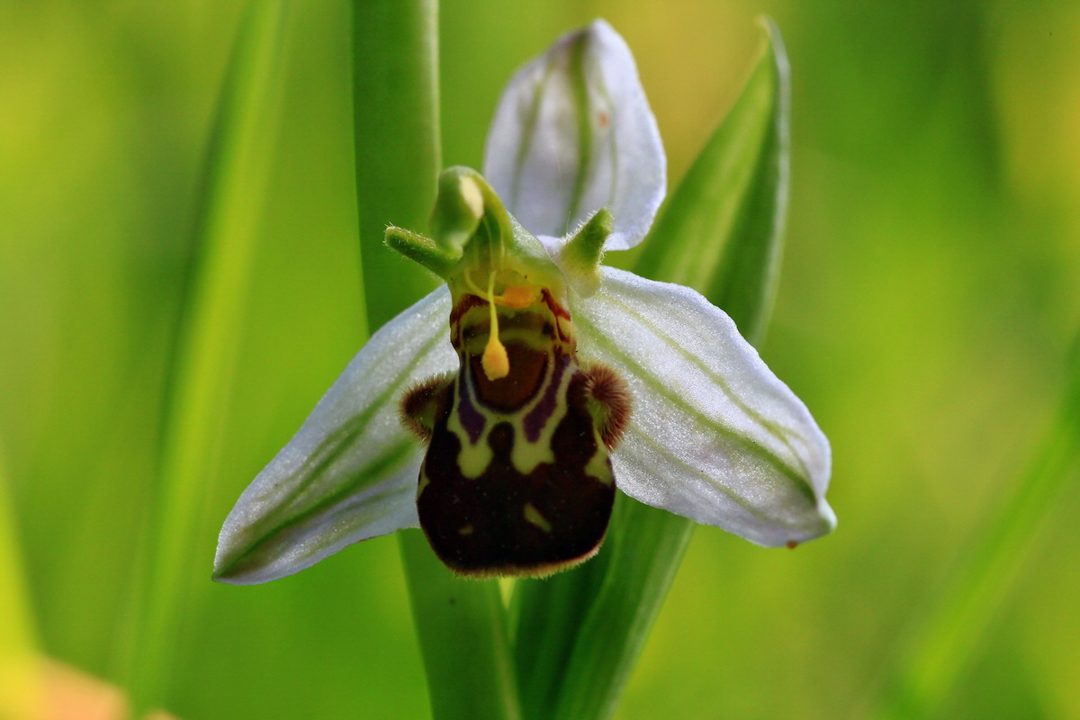 2013_06_18_00022641p_Bildgr��e �ndern