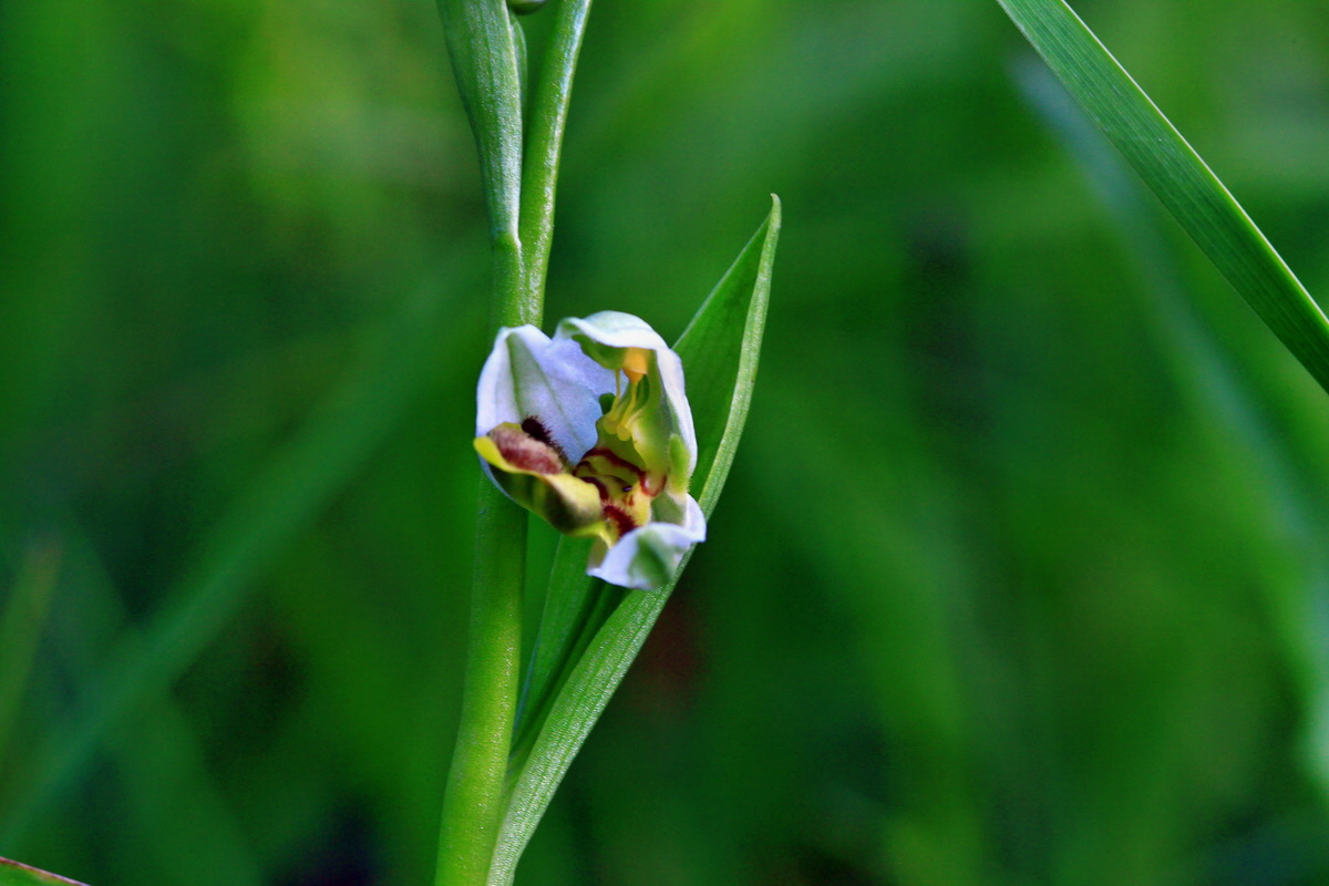 2013_06_18_00022648p_Bildgr��e �ndern