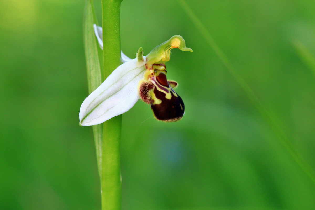 2013_06_18_00022649p_Bildgr��e �ndern