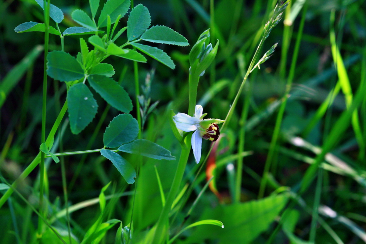 2013_06_18_00022669p_Bildgr��e �ndern