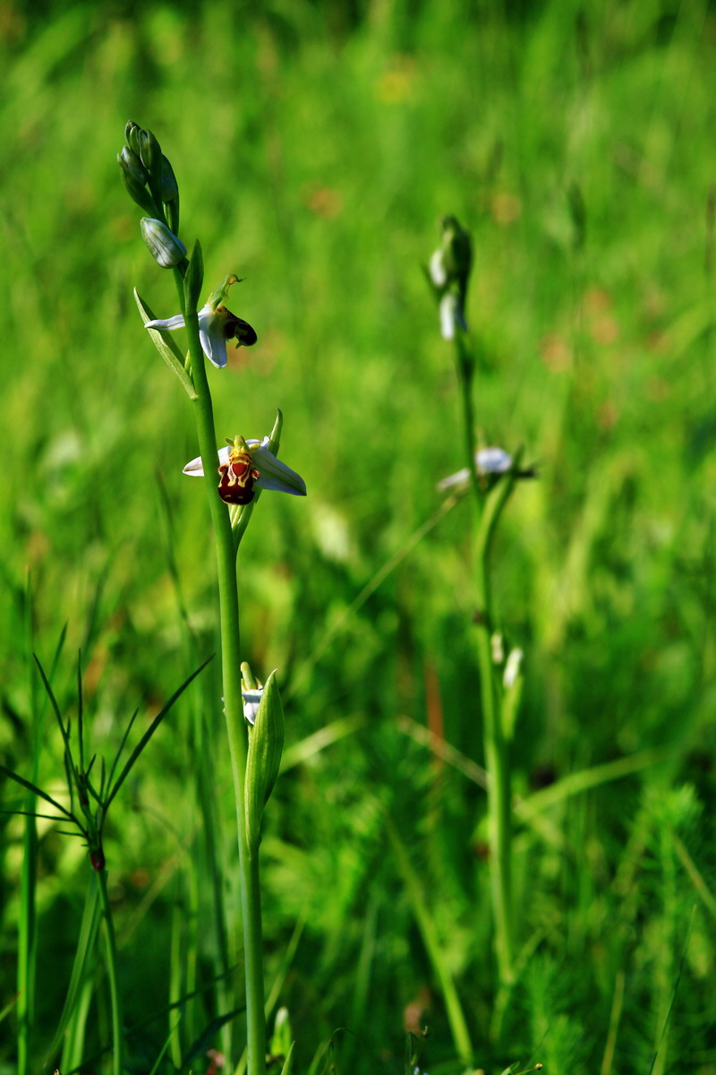 2013_06_18_00022686p_Bildgr��e �ndern