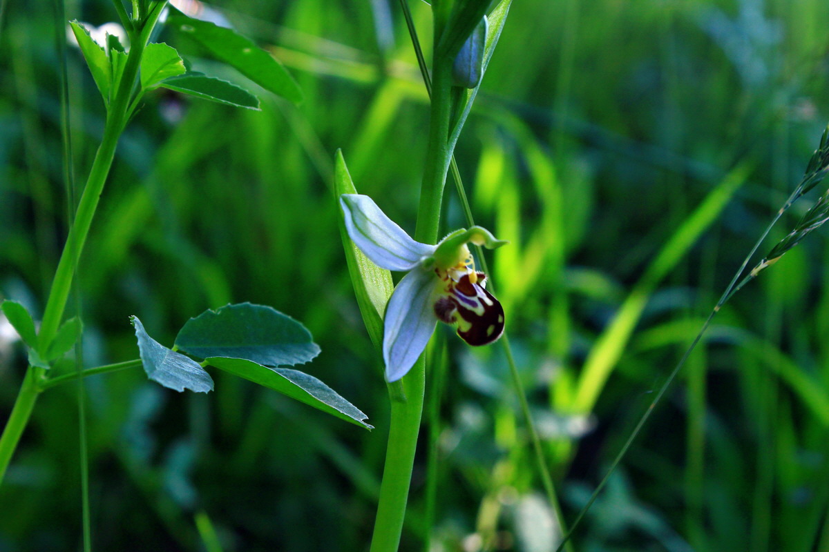 2013_06_18_00022692p_Bildgr��e �ndern