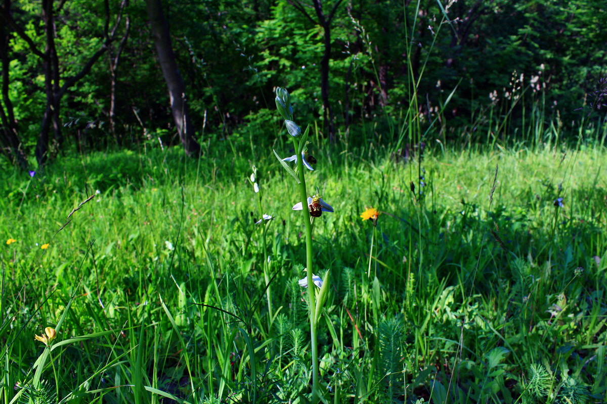 2013_06_18_00022707p_Bildgr��e �ndern