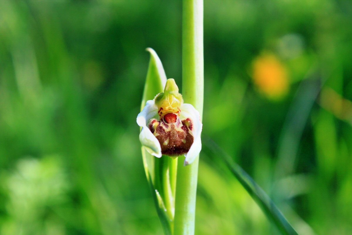 2013_06_18_00022721p_Bildgr��e �ndern