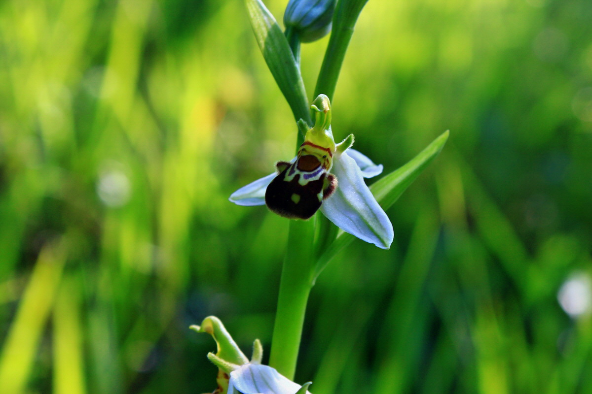 2013_06_18_00022728p_Bildgr��e �ndern