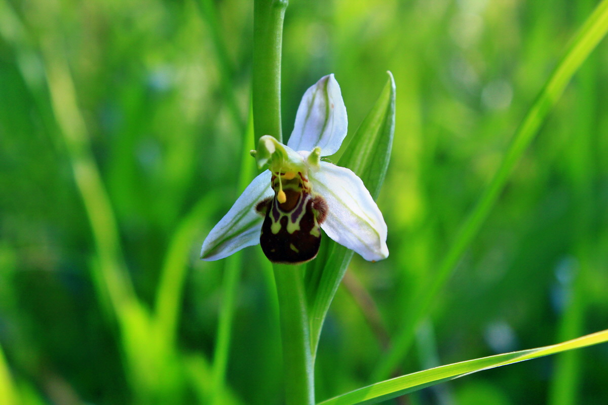 2013_06_18_00022744p_Bildgr��e �ndern