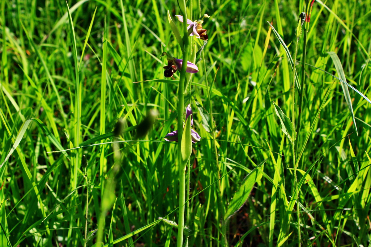 2013_06_18_00022757p_Bildgr��e �ndern