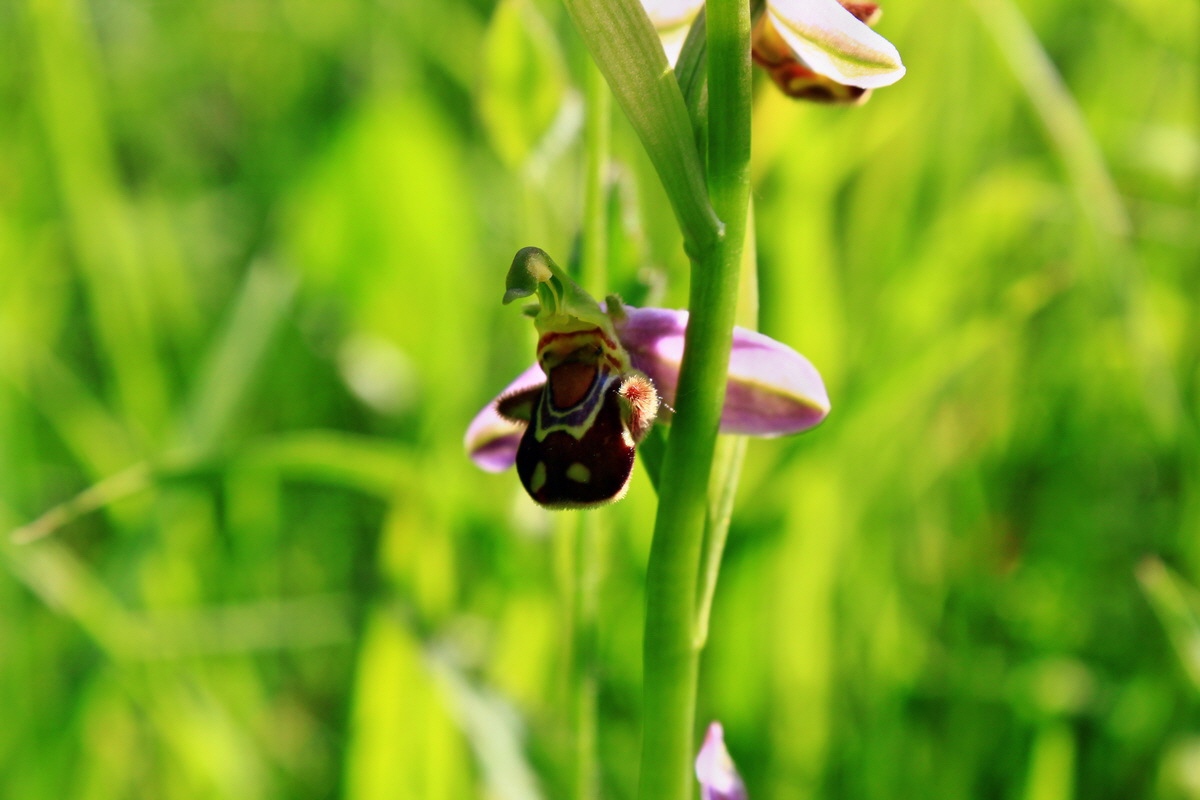 2013_06_18_00022763p_Bildgr��e �ndern