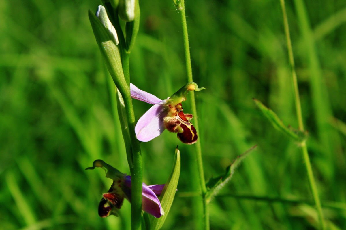 2013_06_18_00022766p_Bildgr��e �ndern