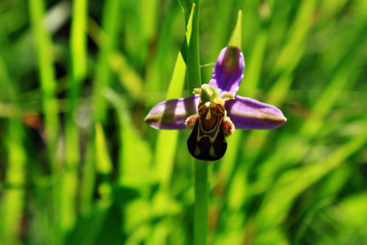 2013_06_18_00022775p_Bildgr��e �ndern