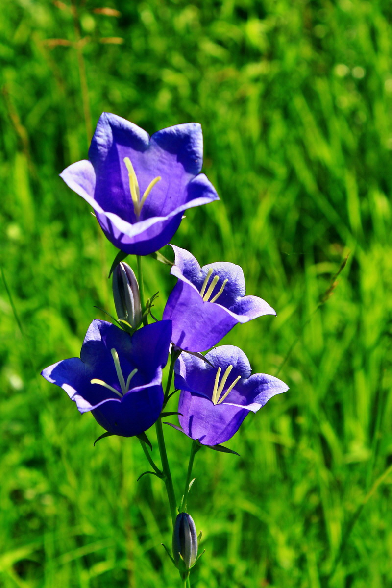 2013_06_18_00022855p_Bildgr��e �ndern