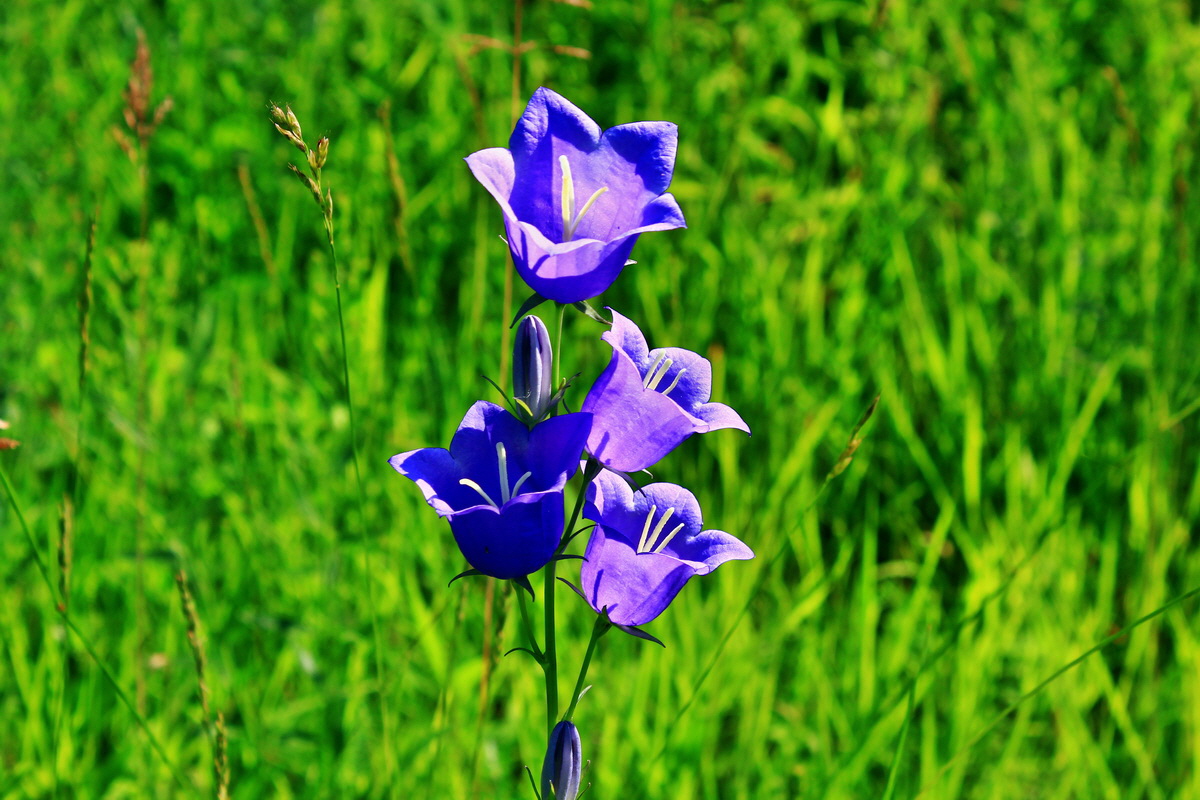 2013_06_18_00022858p_Bildgr��e �ndern