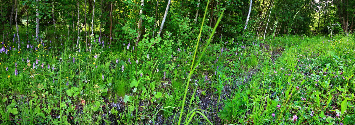 [Group 2]-2013_06_21_00023016_2013_06_21_00023023-3 imagesp_Bildgr��e �ndern