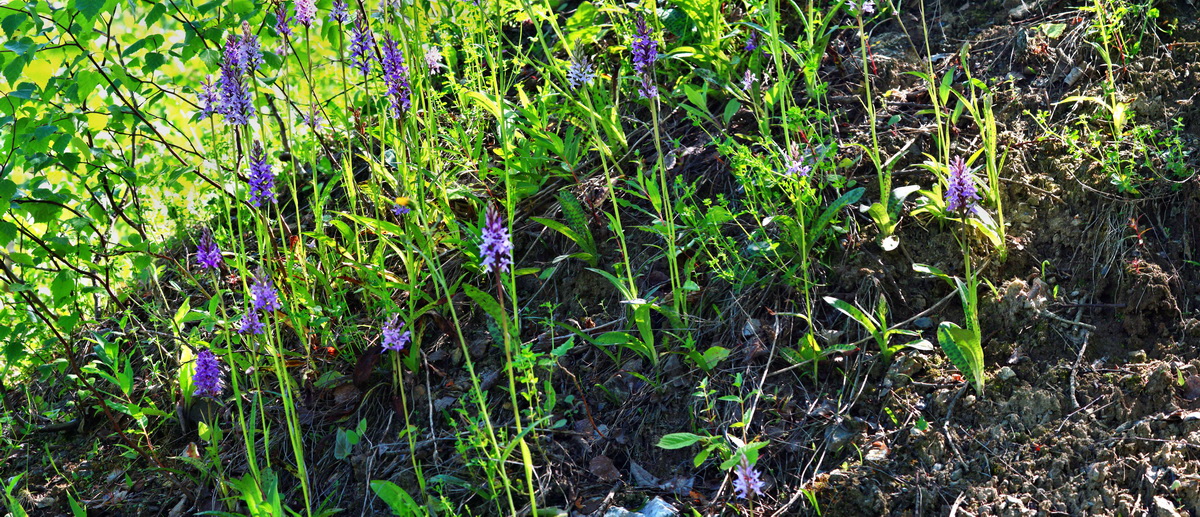 [Group 6]-2013_06_21_00023254_2013_06_21_00023270-8 imagesp_Bildgr��e �ndern