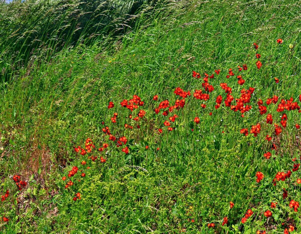 [Group 7]-2013_06_21_00023546_2013_06_21_00023550-2 imagesp_Bildgr��e �ndern