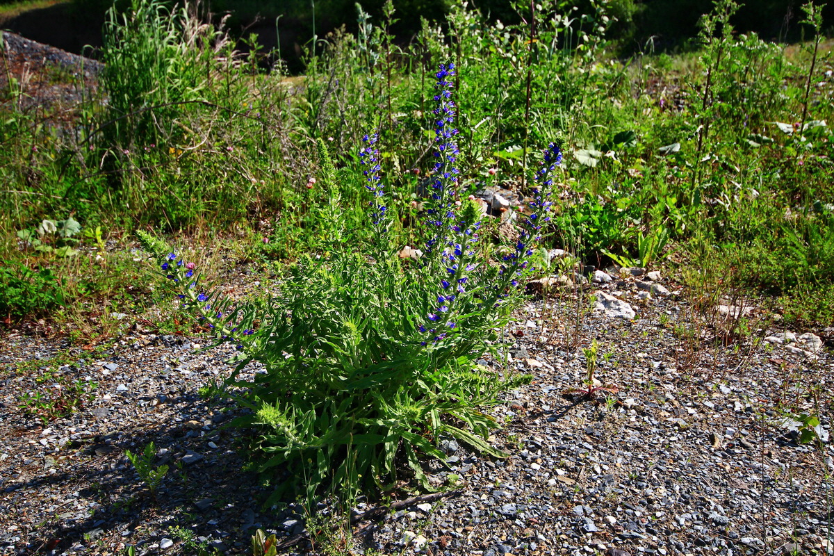 2013_06_21_00023133p_Bildgr��e �ndern