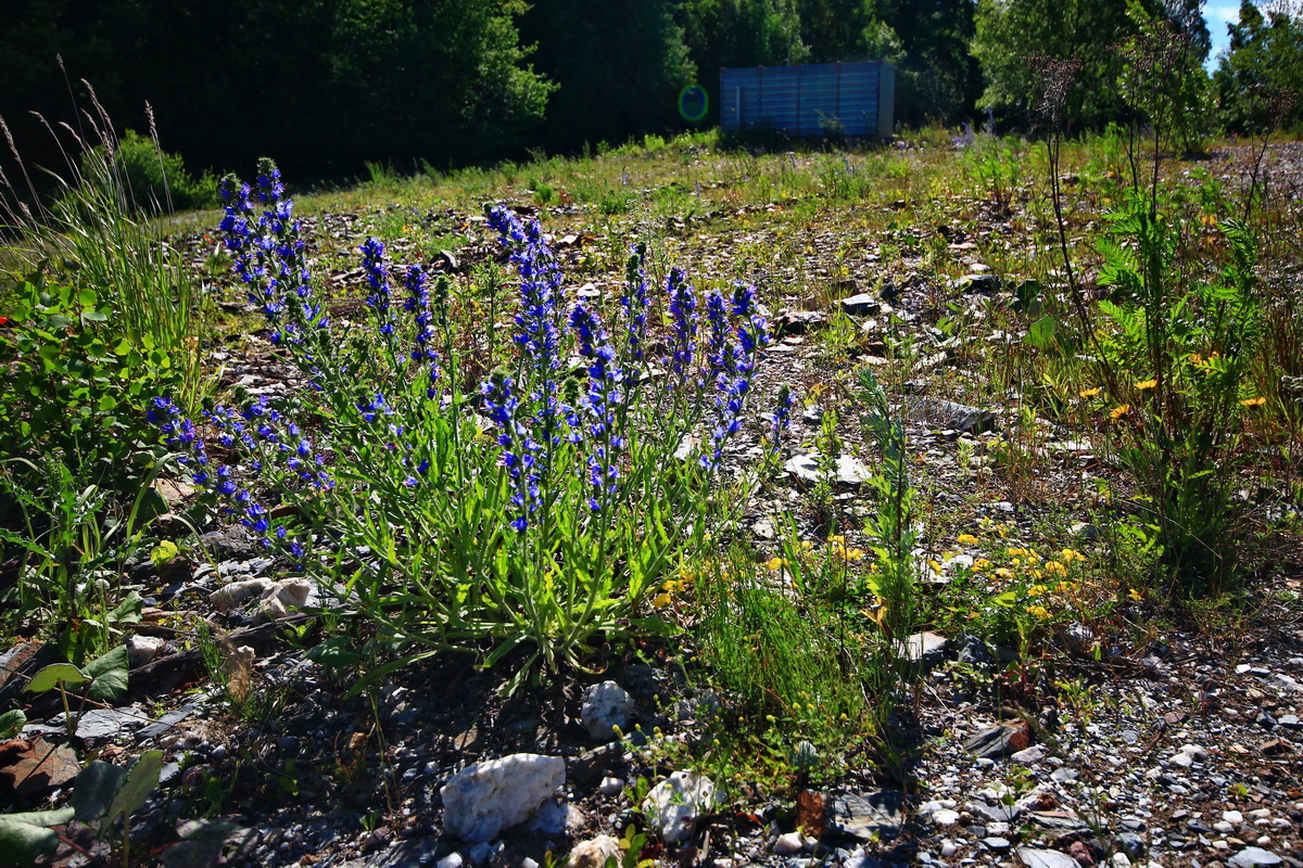 2013_06_21_00023137p_Bildgr��e �ndern