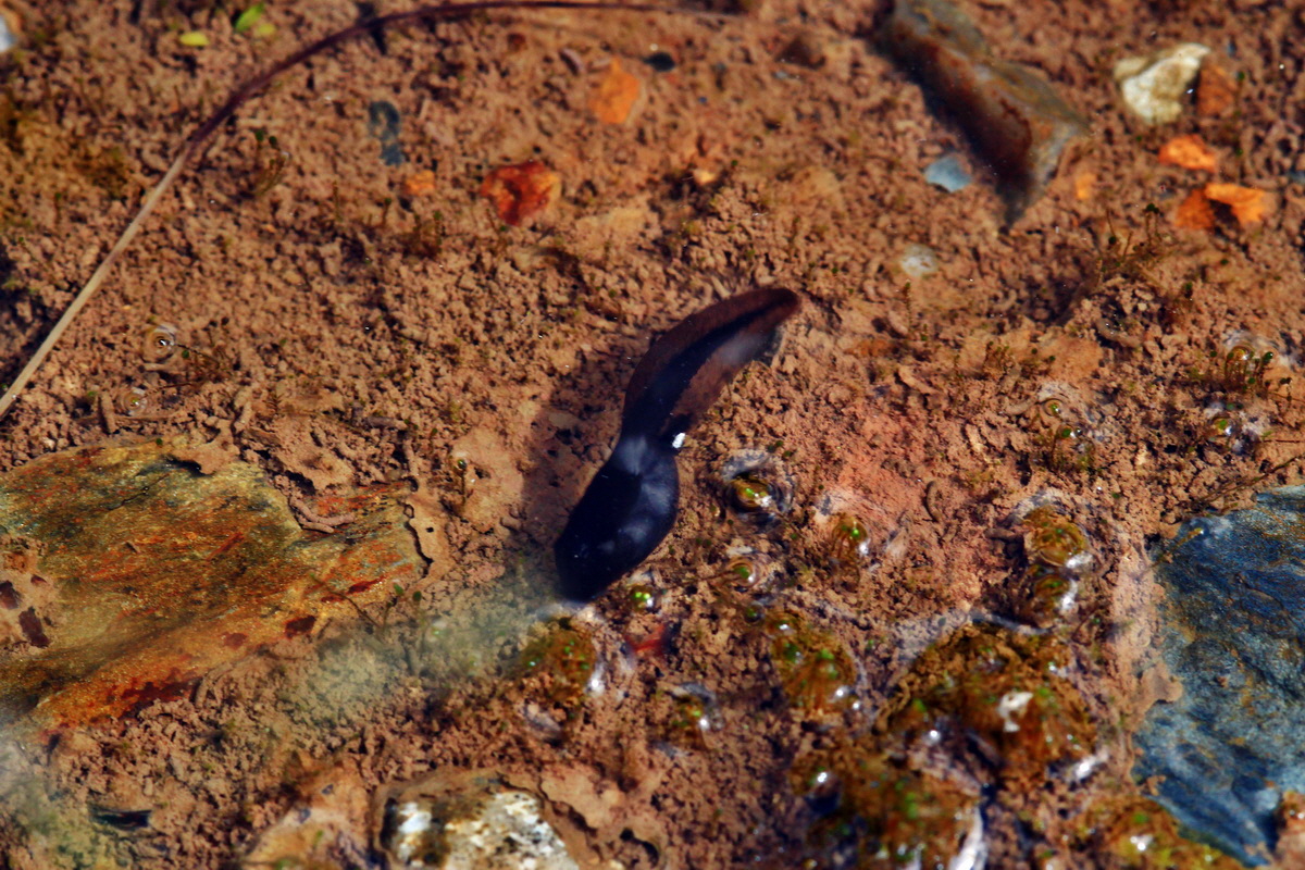 2013_06_21_00023177p_Bildgr��e �ndern