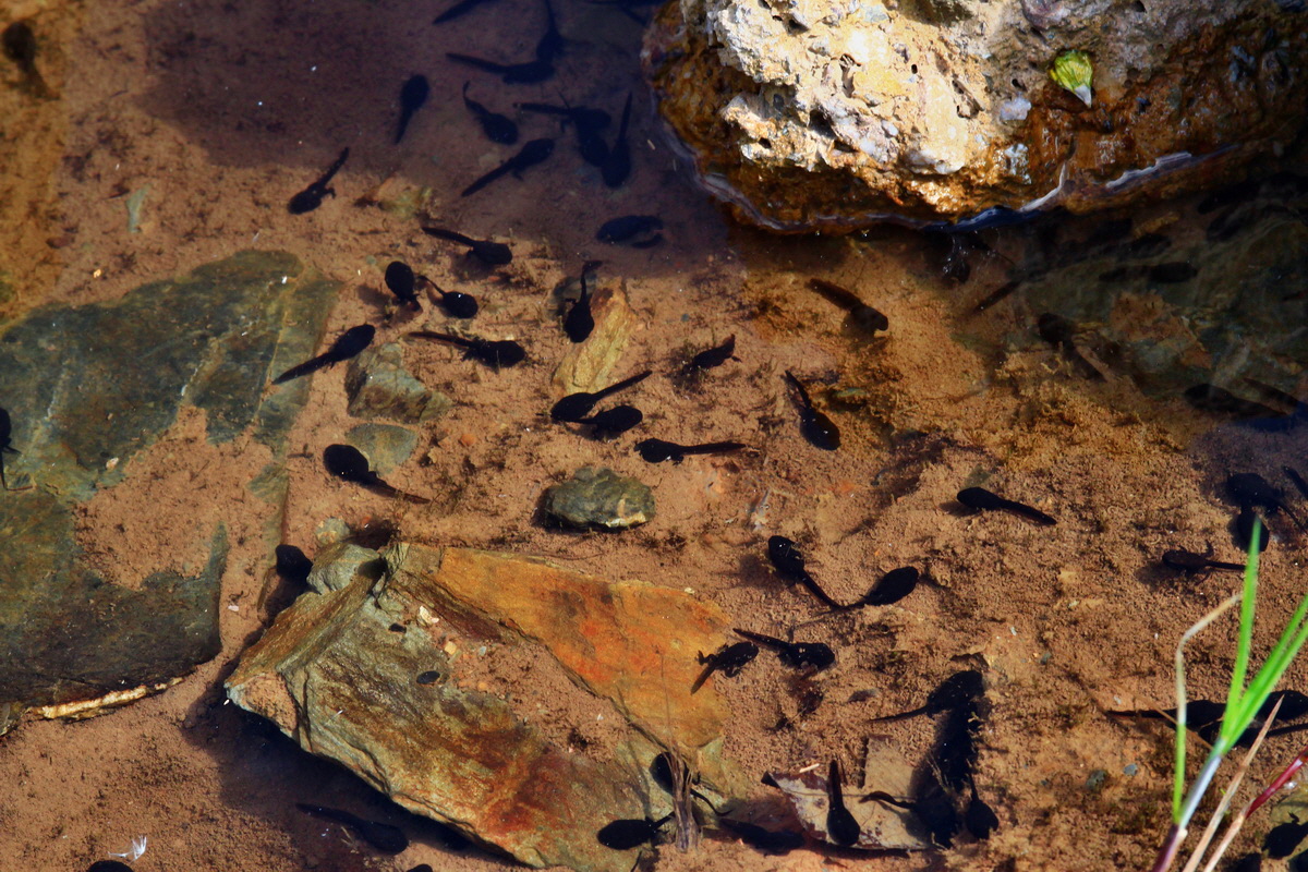 2013_06_21_00023184p_Bildgr��e �ndern