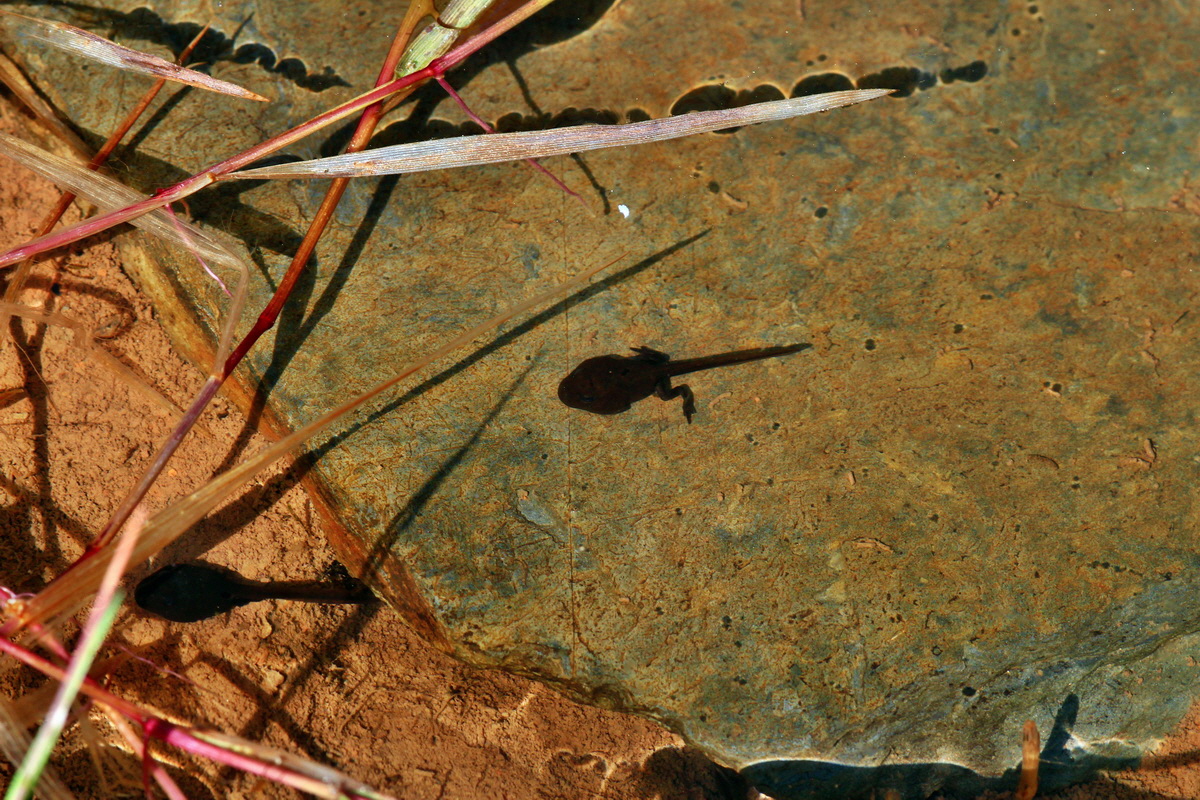 2013_06_21_00023194p_Bildgr��e �ndern